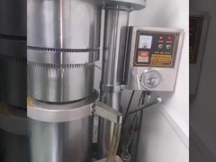 레윈 수압 오일 기계에 의해 카카오 버터 오일을 압축