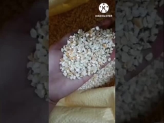 옥수수 배아 기름 추출 기계