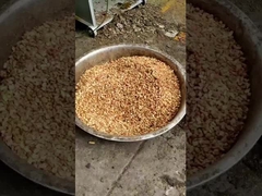 6YL-290 나사 오일 프레스 기계 땅콩 오일을 압축