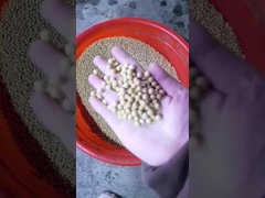 소아 콩 기름 압축 기계