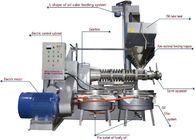 Easy Operation Cold Press Oil Extractor / Industrial Cold Oil Press Machine